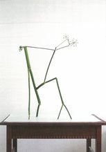 Load image into Gallery viewer, Pear_ed Evidence Prints