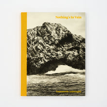 Load image into Gallery viewer, 'Nothing's in Vain' (2017)
