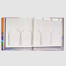 Load image into Gallery viewer, 'Ian Davenport' (2014)