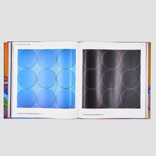 Load image into Gallery viewer, 'Ian Davenport' (2014)