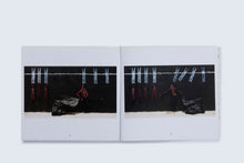 Load image into Gallery viewer, 'Paries Pictus' (2013)