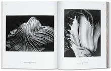 Load image into Gallery viewer, 'Edward Weston 1886 - 1958' (2001)