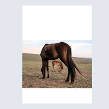 Load image into Gallery viewer, Bhayi alembathwa lembathwa ngabalaziyo (2019)

