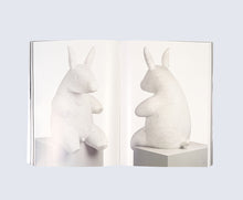 Load image into Gallery viewer, 'Brett Murray - Hide' (2021)

