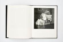 Load image into Gallery viewer, 'A Glass Darkly' (2017)
