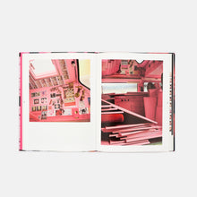 Load image into Gallery viewer, 'Eva &amp; Adele: You Are My Biggest Inspiration' (2016)
