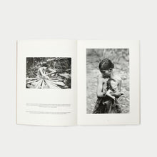 Load image into Gallery viewer, 'Echoes of a Vanished World' (2012)
