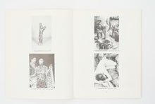 Load image into Gallery viewer, 'In Search of the San' (2004)
