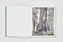 Load image into Gallery viewer, 'Live Burls: Poaching the Redwoods' (2017)
