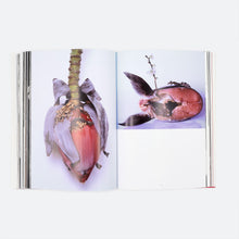 Load image into Gallery viewer, 'Araki' (2014)
