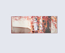 Load image into Gallery viewer, 'Liza Grobler - Blindfolded Line, Dancing Through Time' (2014)
