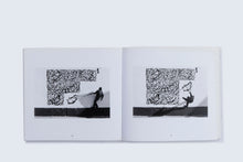 Load image into Gallery viewer, 'Paries Pictus' (2013)
