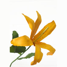 Load image into Gallery viewer, Yellow Tiger Lily (2022)
