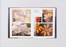 Load image into Gallery viewer, 'Namaqualand' (1981)
