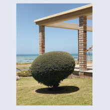 Load image into Gallery viewer, 'Untitled, Kleinbaai' (2017)
