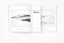 Load image into Gallery viewer, 'Jared Ginsburg' (2017)
